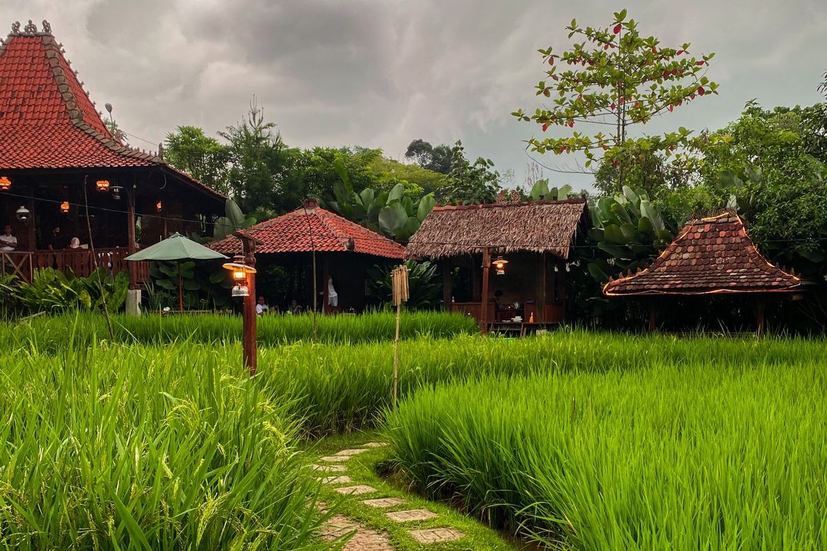 Ilustrasi suasana Sawah Segar Resto & Nursery, tempat makan keluarga di Sentul, Bogor.