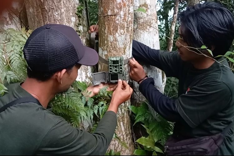Dua peserta praktik memasang kamera jebak (camera trap) dalam Pelatihan Pemantauan Macan Tutul Menggunakan Kamera Jebak di Pusat Penyelamatan Satwa (PPS) Cikananga, Desa Cisitu, Kecamatan Nyalindung, Sukabumi, Jawa Barat, Selasa (28/5/2024).