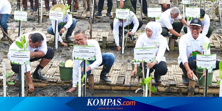 Semen Indonesia (SMGR) dan Pemerintah Jawa Timur Tanam 17.845 Bibit Bakau di Probolinggo