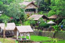 Makan Enak di Tengah Alam dan Tradisi Malang, Taman Indie Tempatnya