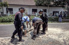 Tertimpa Pohon Tua di Lembang, Pengendara Sepeda Motor Tewas