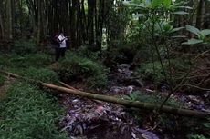 Sungai di Kaki Gunung Lawu Tercemar Kotoran Sapi dan Popok Bayi