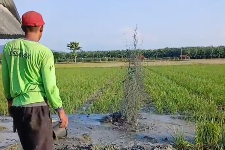 Semburan Air Campur Lumpur Muncul Saat Warga Gali Sumur di Mamuju Tengah
