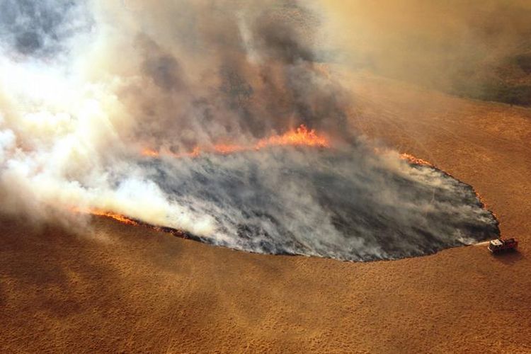 Climate misinformation claimed Australia's devastating Black Summer fires were caused by fires