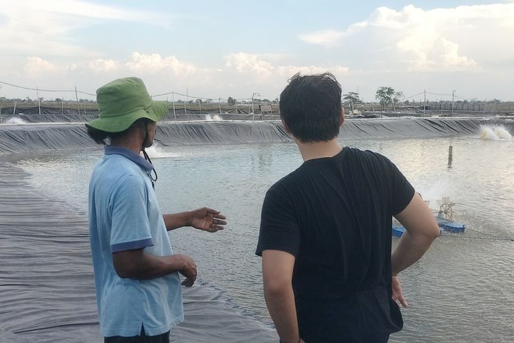 Tim Crustea meninjau penggunaan Eco Aerator pada salah satu petambak udang.