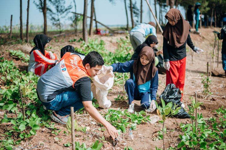Pertagas menggandeng 275 siswa SMAN 1 Juntinyuat, Indramayu dan Kelompok Tani Hutan Mangrove Junti Indah Lestari dalam rangka  memperingati Hari Mangrove Sedunia, 