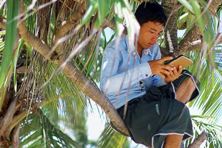 Warga Desa Tampang Muda, Andi Supriadi (24) harus naik ke sebuah pohon untuk mengakses sinyal telepon selular di tepi pantai Desa Tampang Muda, Kecamatan Pematang Sawah, Kabupaten Tanggamus Lampung Jumat (29/1/2016). Saat pemerintah meluncurkan jaringan internet cepat 4G LTE, sejumlah daerah masih kesulitan mengakses sinyal untuk telepon dan layan pesan singkat.