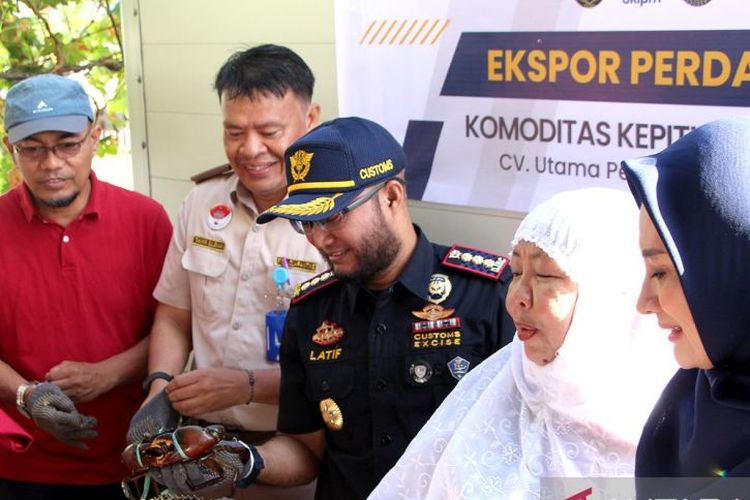 UMKM asal Gorontalo ekspor perdana kepiting bakau hidup ke Singapura.