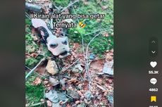 Viral, Video Ulat dengan Bentuk Kepala Aneh seperti Alien, Apa Itu?