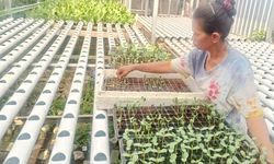 Kisah Para Ibu Pemulung yang Punya Dana Darurat dari Menabung Sampah