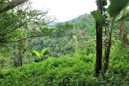 Darien Gap: Jalur Terobosan Mematikan di Amerika Tengah