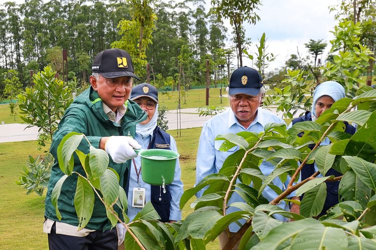 Menteri PU "Endorse" IKN, Investor Jangan Ragu Masuk