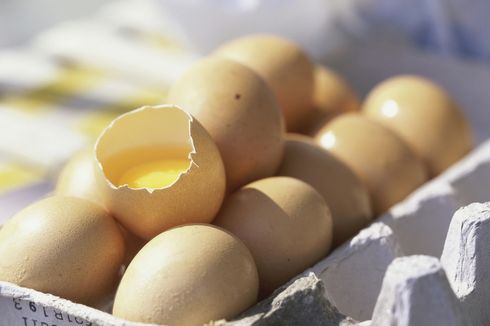 Wabah Salmonella di AS, 200 Juta Butir Telur Ditarik dari Pasaran