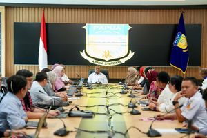 Rekomendasi Kemenkes untuk RS di Jayapura Pasca-kasus Meninggalnya Irene Sokoy