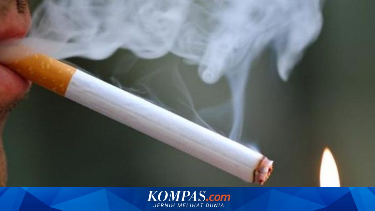 Studi: Merokok Jadi Salah Satu Penyebab Kematian Utama pada 2017