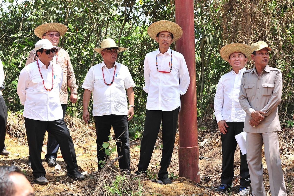 Presiden Jokowi didampingi sejumlah pejabat meninjau salah satu lokasi alternatif pengganti ibu kota RI, di Kabupaten Gunung Mas, Kalteng, Rabu (8/5/2019) siang.