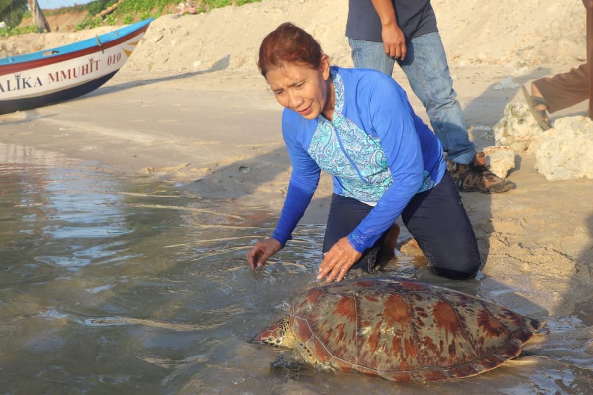 Menteri Kelautan dan Perikanan Susi Pudjiastuti melepasliarkan penyu langka di perairan Natuna, Minggu (5/5/2019).