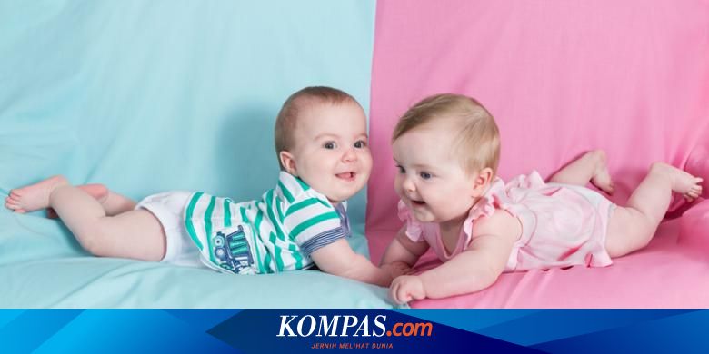 Mengapa Jumlah Bayi Laki Laki Lebih Banyak Daripada Bayi Perempuan Halaman All Kompas Com Mengapa Jumlah Bayi Laki Laki Lebih Banyak Daripada Bayi Perempuan Halaman All Kompas Com