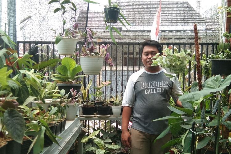 Ahmad Fauzi (31) memperlihatkan tanaman hias koleksinya di rumahnya di Perumahan Grand Permata, Desa Belendung, Kecamatan Klari, Kabupaten Karawang, Sabtu (23/10/2021).