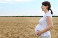 Mengatasi Gatal-gatal Saat Kehamilan