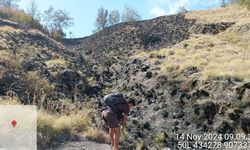 Lama Lumayan Lega, Indonesia dan Brasil Kini Dihantui Deforestasi Lagi