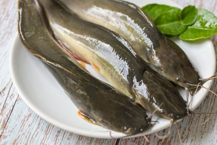 Pilihan Hidangan Ikan untuk Meredakan Asam Urat