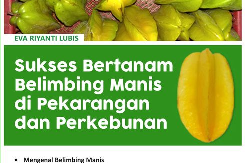 5 Rahasia Sukses Bertanam Belimbing Manis di Pekarangan dan Perkebunan