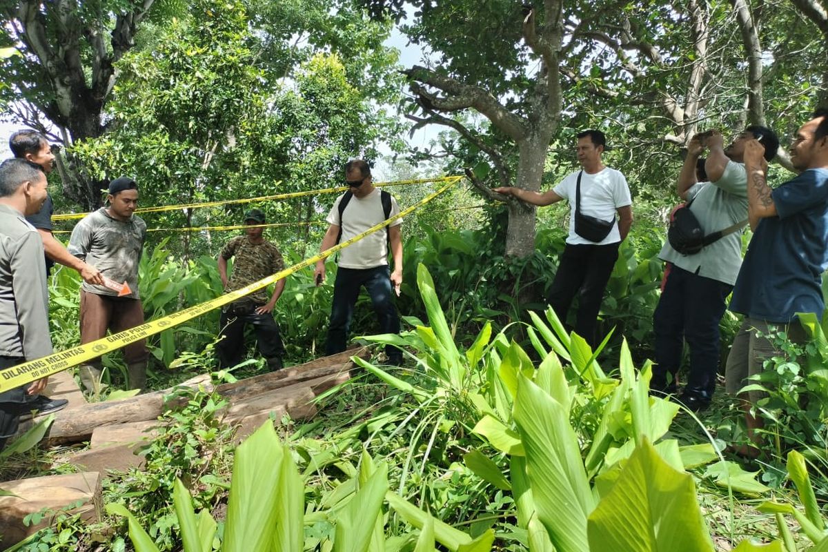 Polisi mengamankan lokasi pembalakan liar di hutan lindung di Desa Lokapaksa, Kecamatan Seririt, Kabupaten Buleleng, Provinsi Bali. 