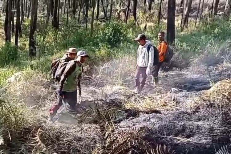 Karhutla Gunung Arjuno Padam, Jalur Pendakian Masih Ditutup