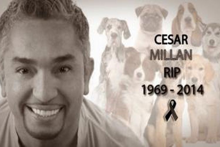 Beredar foto rekayasa di lini sosial Twitter yang menyebut pawang anjing ternama Cesar Millan meninggal dunia akibat serangan jantung pada Kamis (4/12/2014).