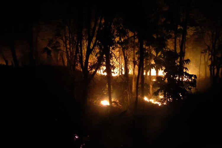 Kebakaran hutan dan lahan di Provinsi Bengkulu.