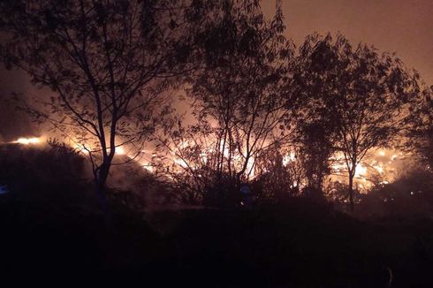 Lahan Ilalang 2.000 Meter di Gunung Batu Bandung Terbakar, Berawal dari Pembakaran Limbah