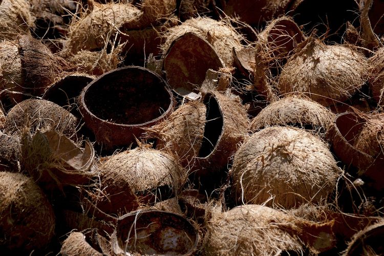 Tempurung kelapa adalah contoh limbah keras organik.