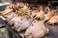 4 Cara Masak Kepala Kambing Utuh agar Empuk dan Tidak Bau Prengus