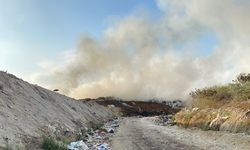 TPA Suwung Bali Ditutup 23 Desember 2025, Ini Alasannya