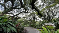 Bukan Sekadar Transit ke Bali, Inilah 7 Fakta Unik Banyuwangi di Ujung Timur Jawa