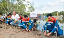 Peringati Hari Hutan Sedunia, Pertamina Perkuat Program Hutan Lestari untuk NZE 2060