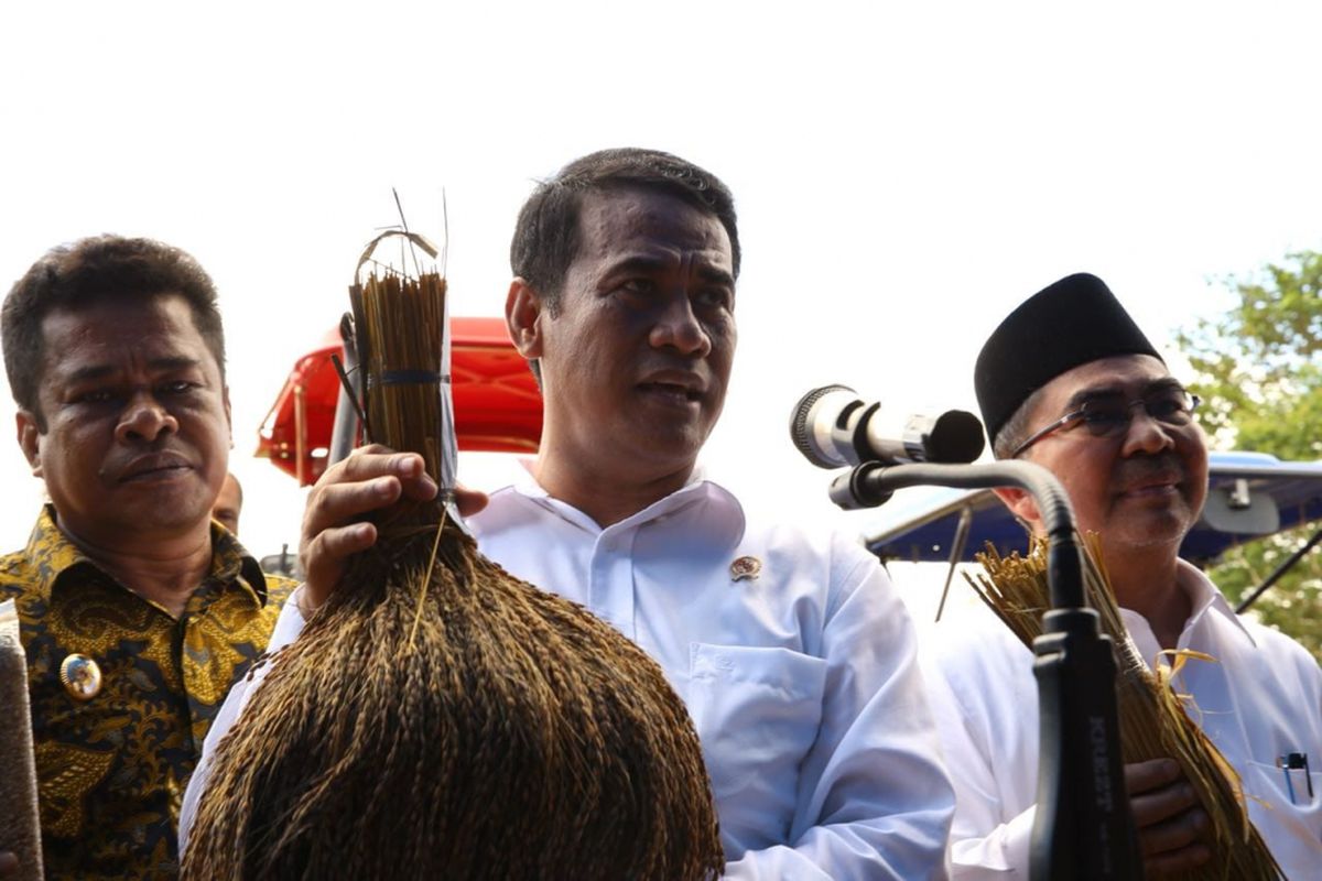 Menteri Pertanian Andi Amran Sulaiman menunjukkan padi kualitas ekspor