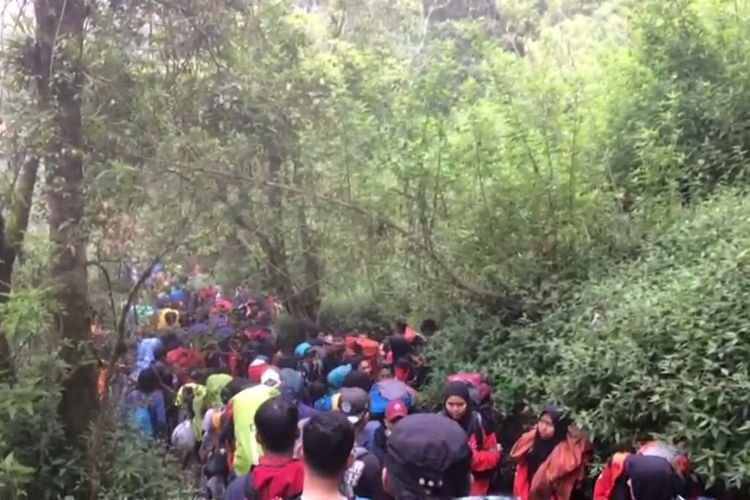 Viral Gunung Merbabu Macet Dipenuhi Para Pendaki Halaman