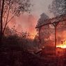 5 Hektar Lahan di Taman Nasional Gunung Merapi Terbakar, Berjarak 6 Km dari Permukiman Warga