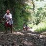 Perjuangan Siswa SD di Pedalaman Ende, Berjalan Menembus Hutan Tanpa Alas Kaki ke Sekolah 