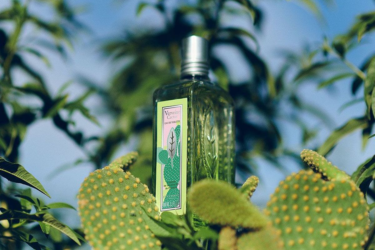 Eau de Toilette Verbena Cactus dari L'Occitane