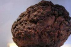 Batu Meteor Senilai Rp 500 Juta Digondol Maling