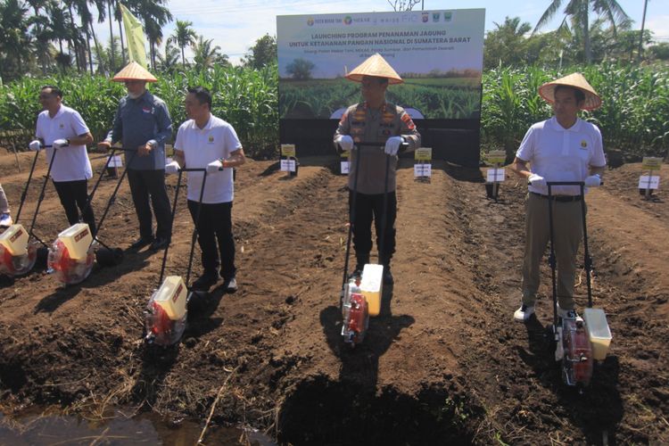 Sumbar Manfaatkan Lahan Tidur untuk Tingkatkan Produksi Jagung
