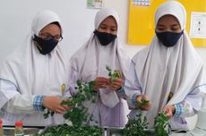 Indonesian Schoolchildren Win Award for Creating Mouthwash with Moringa Leaves