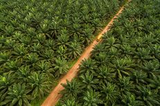 EU, China Race to Secure Green Projects in Southeast Asia