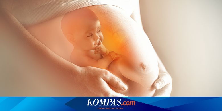 Ibu Hamil Positif Covid 19 Berisiko Sakit Parah Hingga Kelahiran Prematur Halaman All Kompas Com