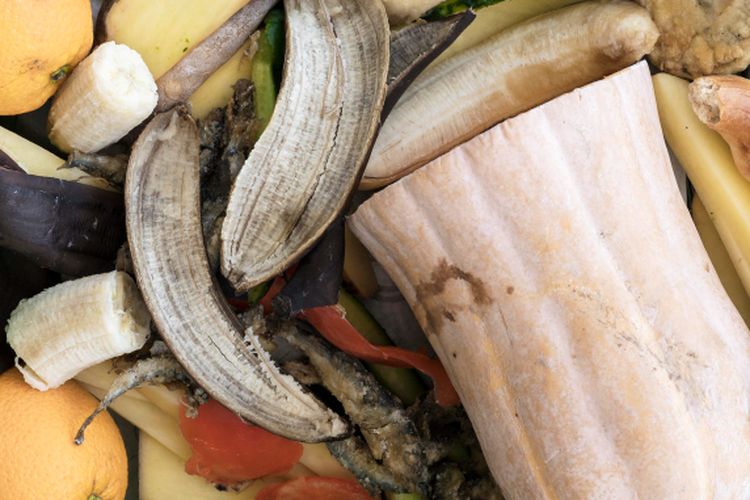Beberapa sampah dapur dapat dimanfaatkan untuk menyuburkan tanaman.
