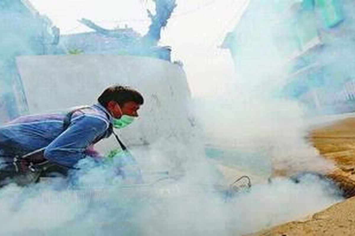 Iustrasi: fogging atau pengasapan nyamuk Aedes aegypti