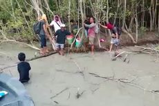 Kisah 13 TKI Telantar di Hutan Bakau, Tak Saling Kenal, Terombang-ambing 4 Hari di Tengah Laut